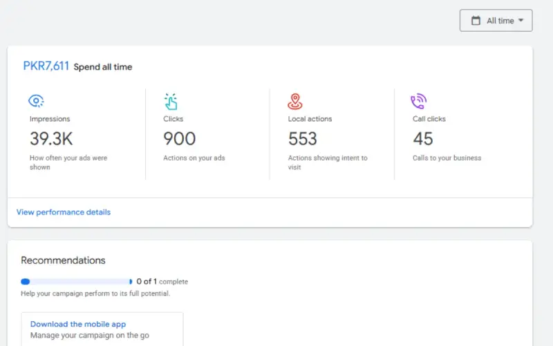 Software Company Google Ads results